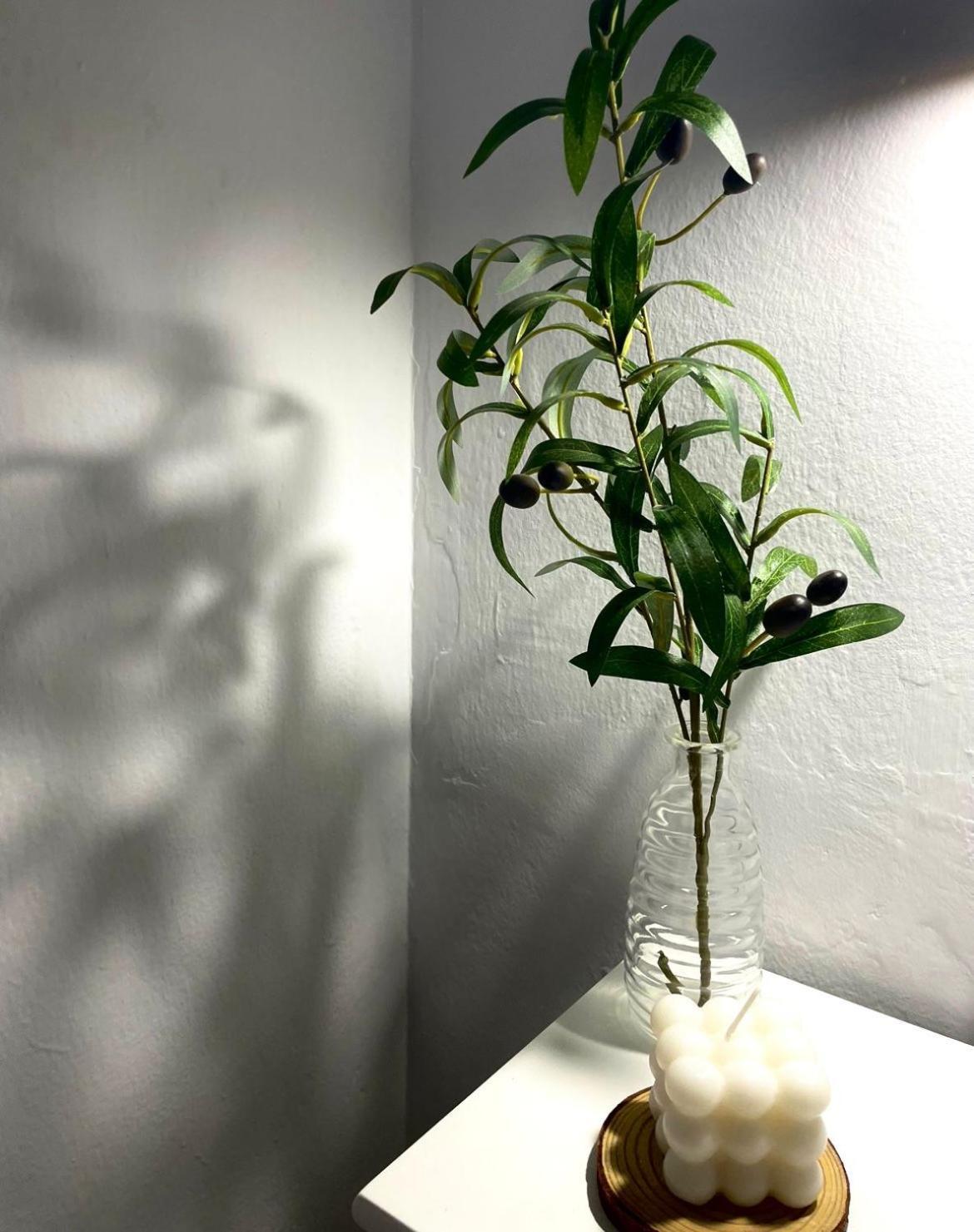 Primavera Centro Apartment